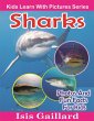 Sharks Photos and Fun Facts for Kids... - Bild 1