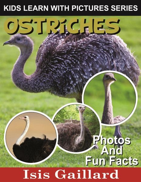 Ostriches Photos and Fun Facts for Kids (Kids Learn With Pictures, #61) (eBook, ePUB)