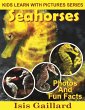 Seahorses Photos and Fun Facts for Kids... - Bild 1