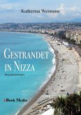 Gestrandet in Nizza (eBook, PDF)