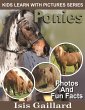 Ponies Photos and Fun Facts for Kids... - Bild 1