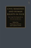 Civil Remedies and Human Rights in Flux (eBook, ePUB)