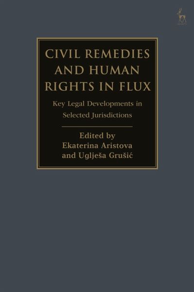 Civil Remedies and Human Rights in Flux (eBook, ePUB) Civil Remedies and Human Rights in Flux (eBook, ePUB)