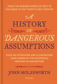 A History of Dangerous Assumptions (eBook, ePUB)