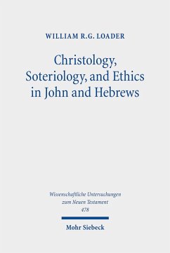 Cover Christology, Soteriology, and Ethics in John and Hebrews (eBook, PDF)