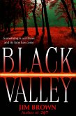 Black Valley (eBook, ePUB)