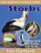 Storks Photos and Fun Facts for Kids... - Bild 1