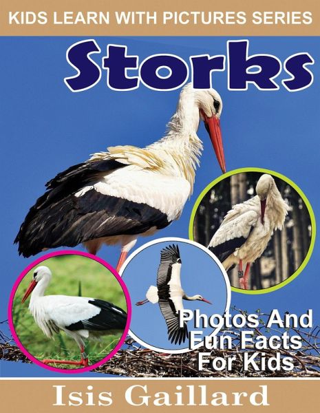 Storks Photos and Fun Facts for Kids (Kids Learn With Pictures, #95) (eBook, ePUB)