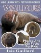 Walrus Photos and Fun Facts for Kids... - Bild 1