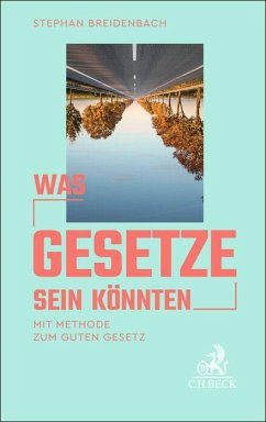 Cover Was Gesetze sein könnten