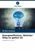 Energieeffizienz, Welcher Weg zu gehen ist