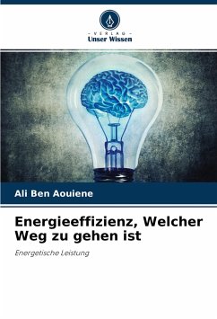 Energieeffizienz, Welcher Weg zu gehen ist - Ben AOUIENE, Ali