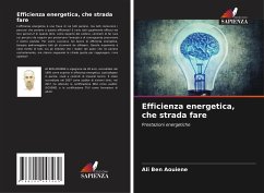 Efficienza energetica, che strada fare - Ben AOUIENE, Ali