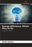 Energy Efficiency, Which Way to Go
