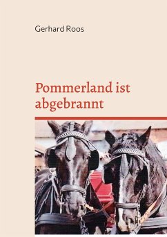 Pommerland ist abgebrannt (eBook, ePUB)