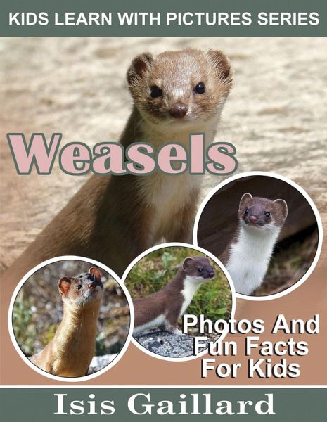 Weasels Photos and Fun Facts for Kids (Kids Learn With Pictures, #113) (eBook, ePUB)