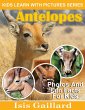 Antelopes Photos and Fun Facts for Kids... - Bild 1
