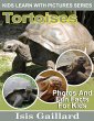 Tortoises Photos and Fun Facts for Kids... - Bild 1