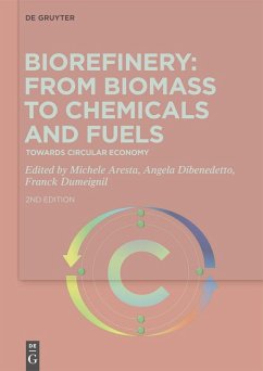 Cover Biorefinery: From Biomass to Chemicals and Fuels (eBook, PDF)