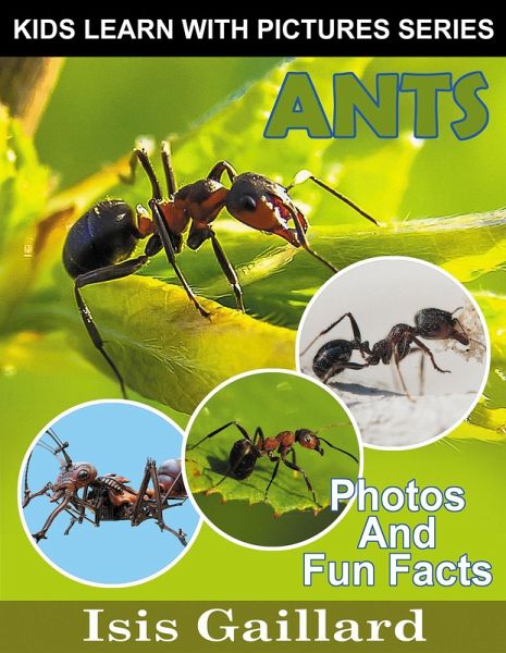 Ants Photos and Fun Facts for Kids (Kids Learn With Pictures, #133) (eBook, ePUB)