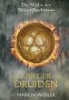 Der Krieger der Druiden (eBook, ePUB) - Bild 1