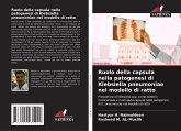 Ruolo della capsula nella patogenesi di Klebsiella pneumoniae nel modello di ratto