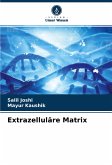 Extrazelluläre Matrix