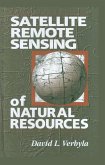 Satellite Remote Sensing of Natural Resources (eBook, ePUB)