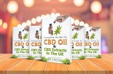 Guide To CBD Oil And CBD Extracts In The UK (eBook, ePUB)