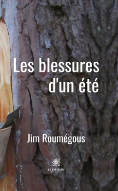 Les blessures d'un été (eBook, ePUB) - Roumégous, Jim