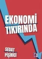 Ekonomi Tikirinda - Pisirici, Sedat