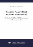 Coalition Power without Individual Responsibility? (eBook, PDF)