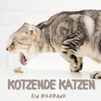 Kotzende Katzen