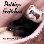 Putzige Frettchen