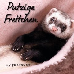 Putzige Frettchen