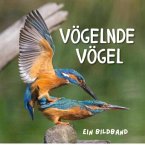 Vögelnde Vögel