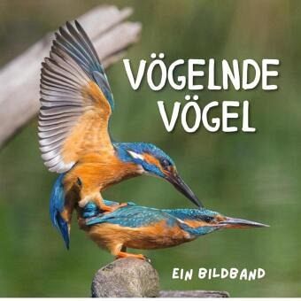 Vögelnde Vögel Vögelnde Vögel