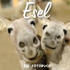 Esel