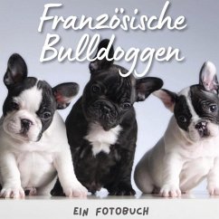 Französische Bulldoggen