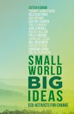 Small World, Big Ideas (eBook, ePUB)
