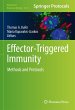 Effector-Triggered Immunity - Bild 1