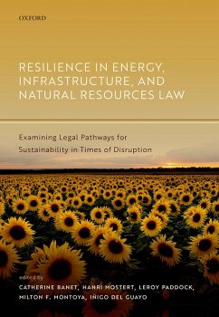 Resilience in Energy, Infrastructure, and Natural Resources Law (eBook, PDF)