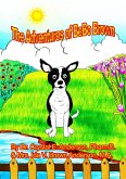 The Adventures of BeBo Brown (eBook, ePUB)