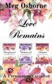 Love Remains (eBook, ePUB)