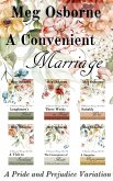 A Convenient Marriage (eBook, ePUB)