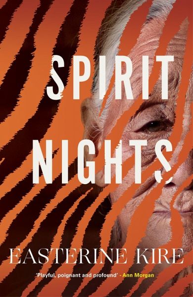 Spirit Nights (eBook, ePUB)