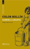 Color hollín (eBook, ePUB)