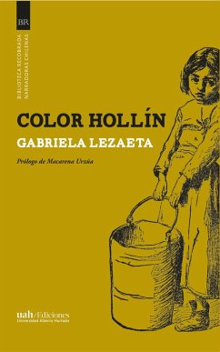Cover Color hollín (eBook, ePUB)