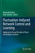 Fluctuation-Induced Network Control and... - Bild 1