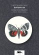 Butterflies - Bild 1